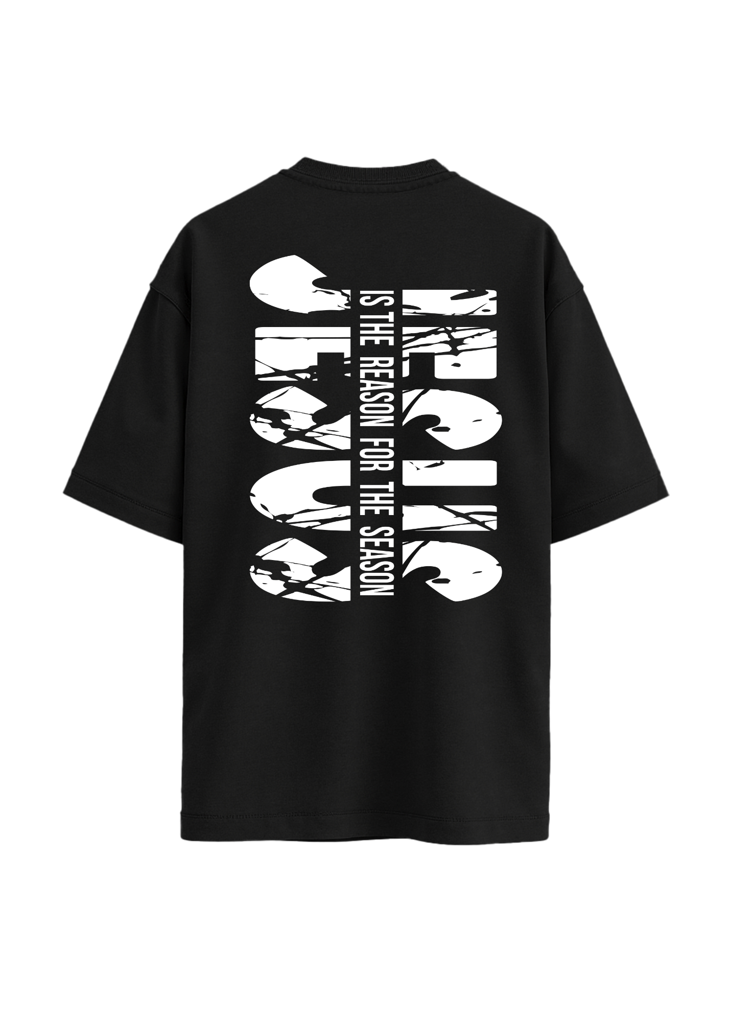 Jesus is the Reason. (t-shirt)