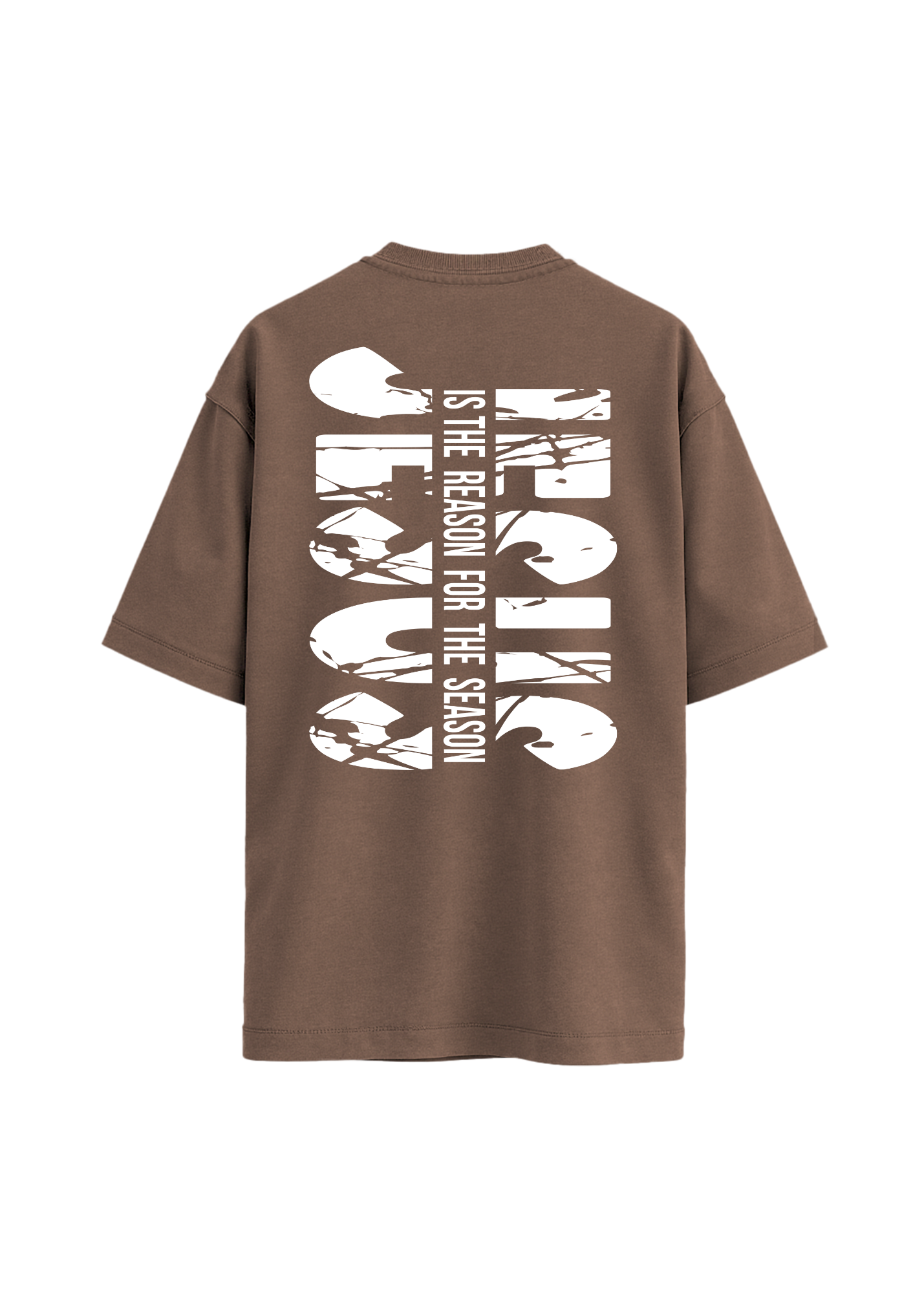Jesus is the Reason. (t-shirt)