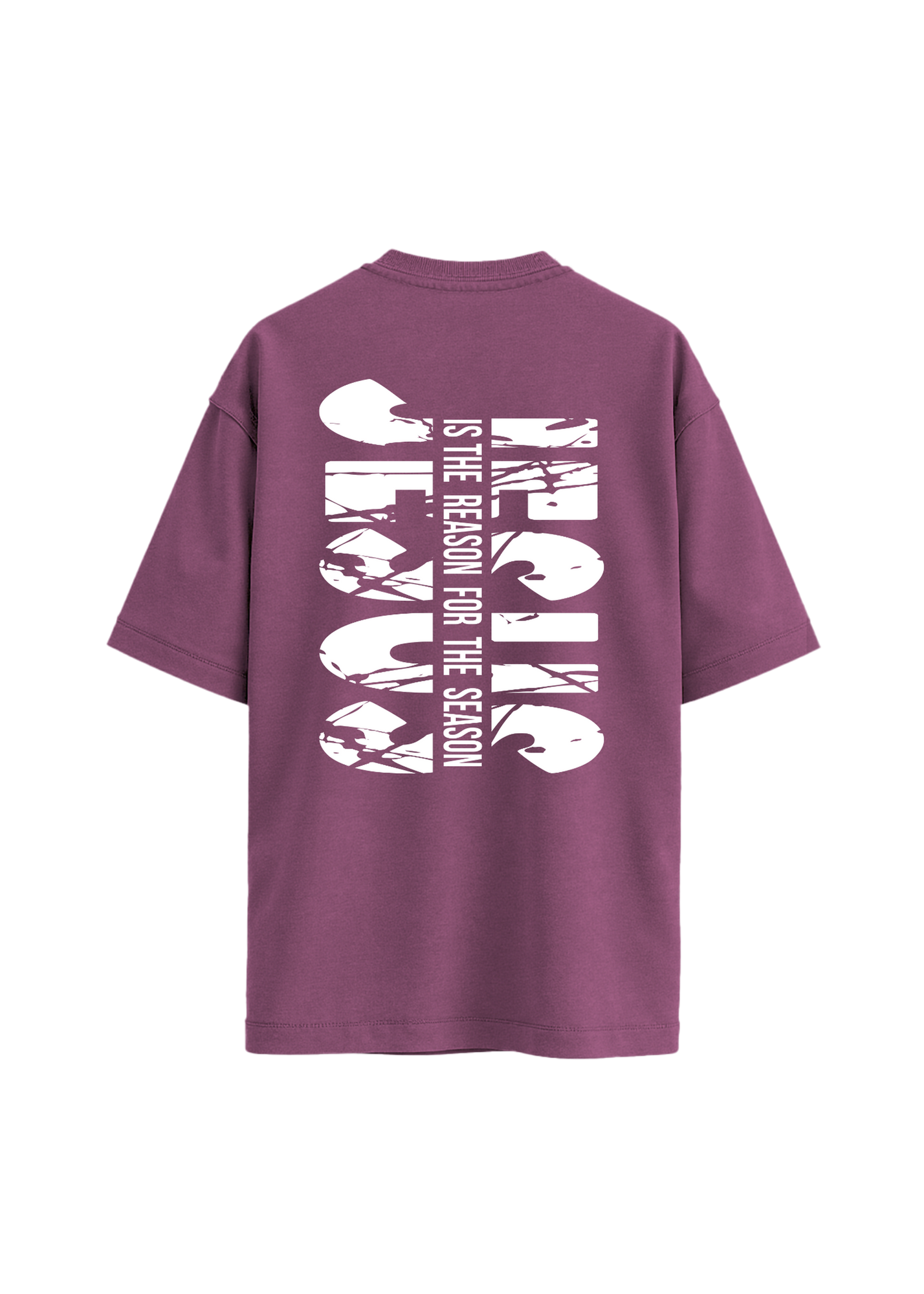 Jesus is the Reason. (t-shirt)